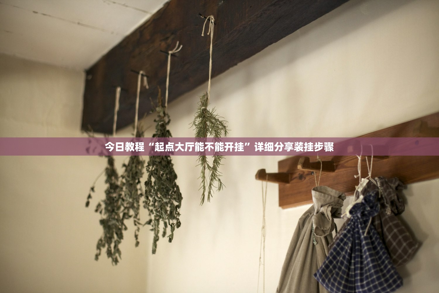 今日教程“起点大厅能不能开挂”详细分享装挂步骤