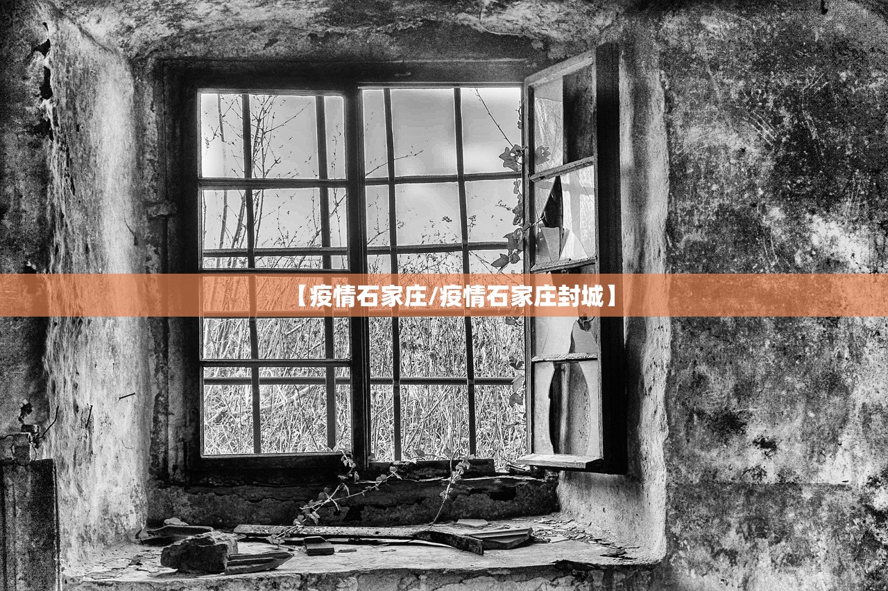 【疫情石家庄/疫情石家庄封城】