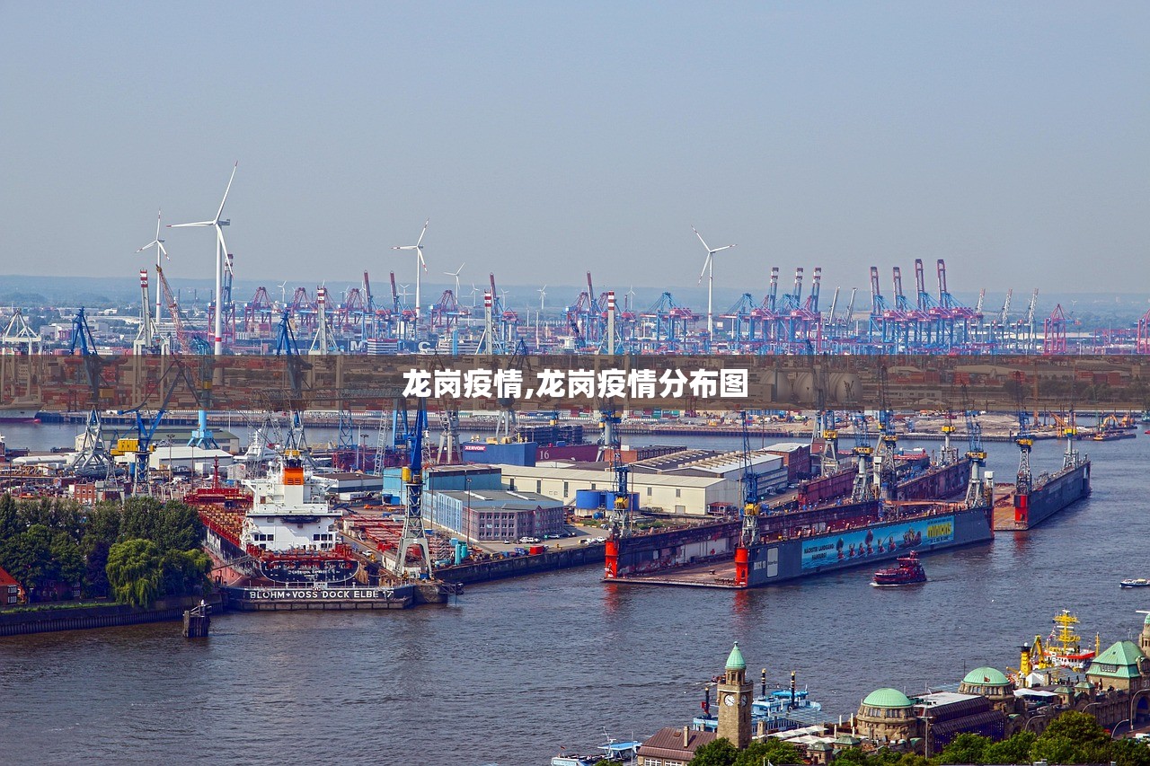 龙岗疫情,龙岗疫情分布图