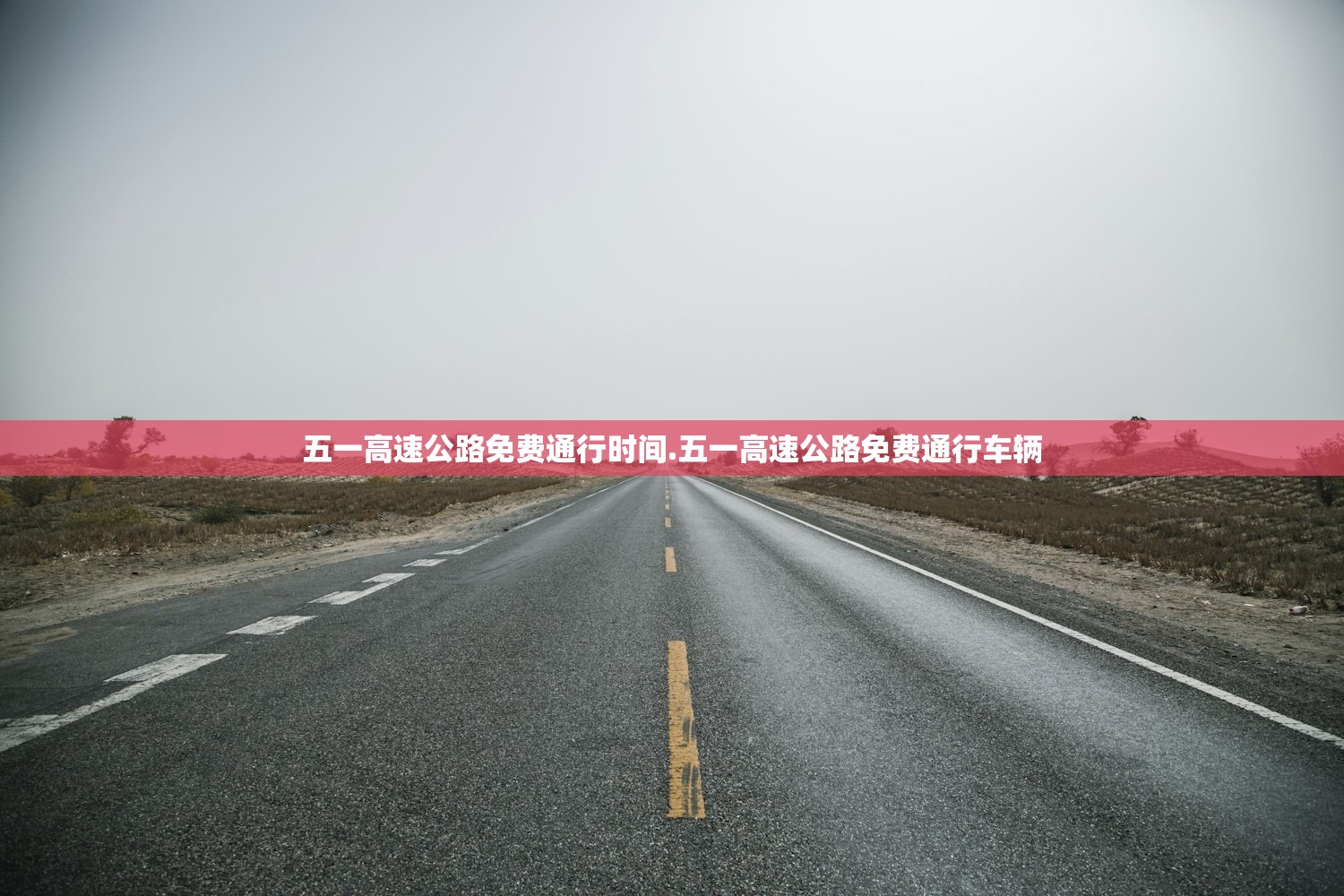 软件分享“拱趴大菠萝到底是不是挂”附开挂脚本详细步骤
