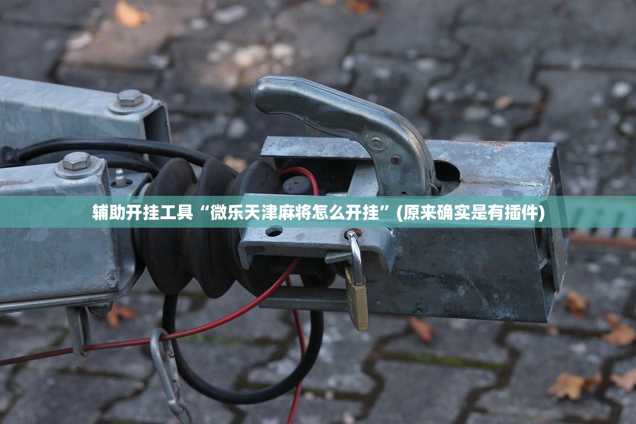 辅助开挂工具“微乐天津麻将怎么开挂”(原来确实是有插件)