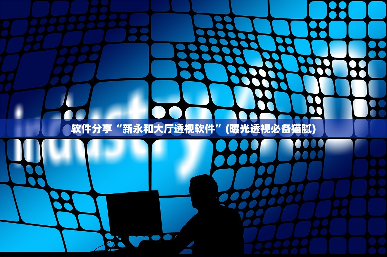 软件分享“新永和大厅透视软件”(曝光透视必备猫腻)