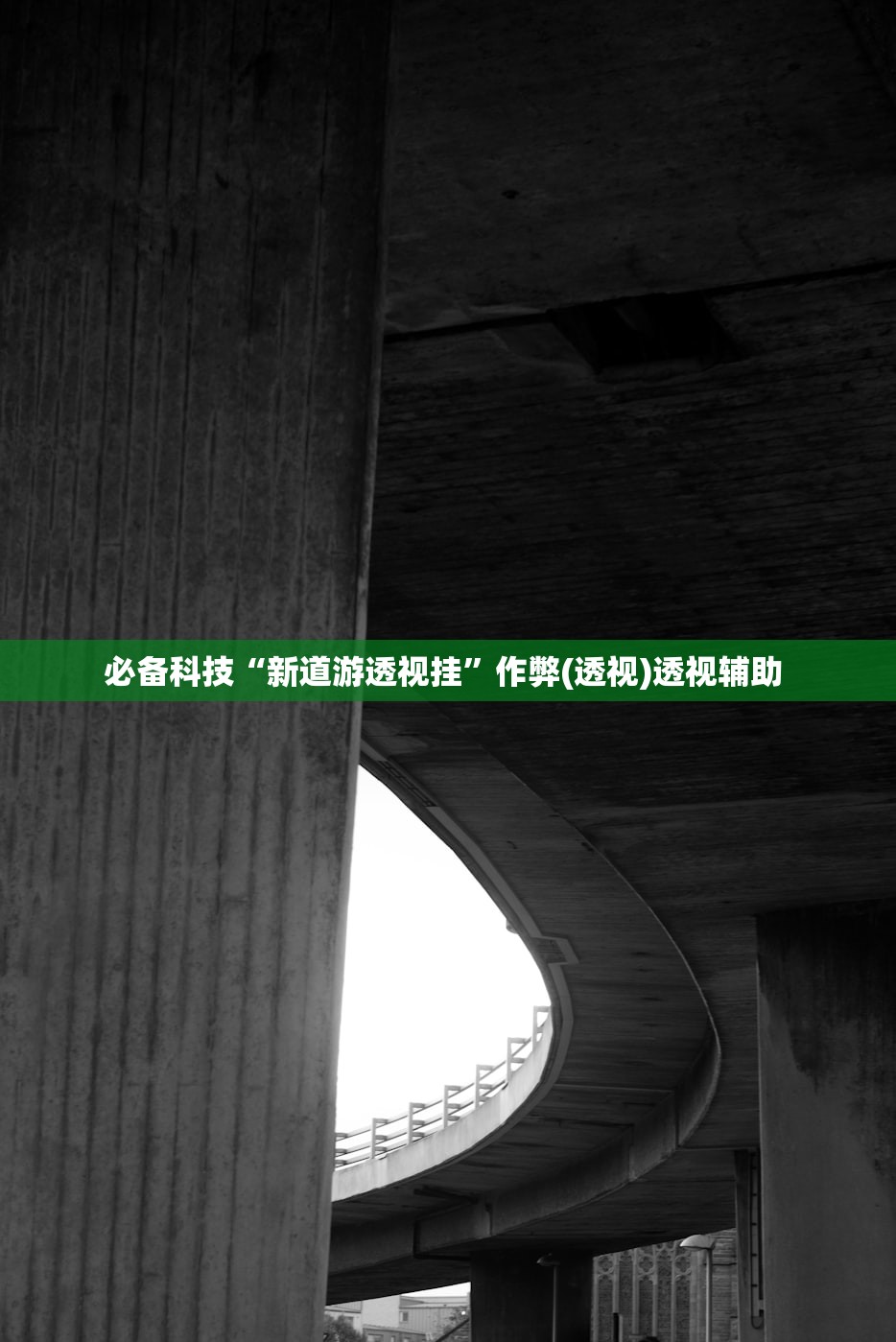 必备科技“新道游透视挂	”作弊(透视)透视辅助 