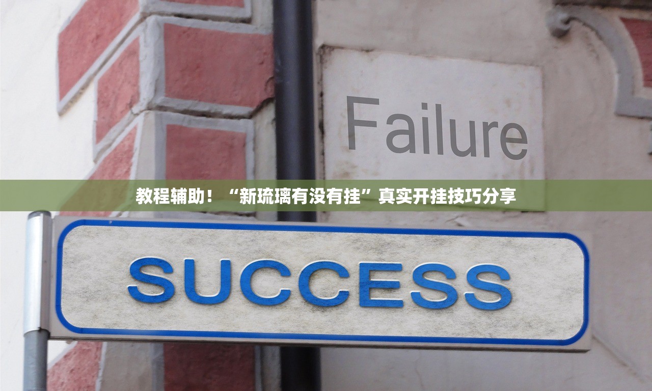 教程辅助！“新琉璃有没有挂”真实开挂技巧分享