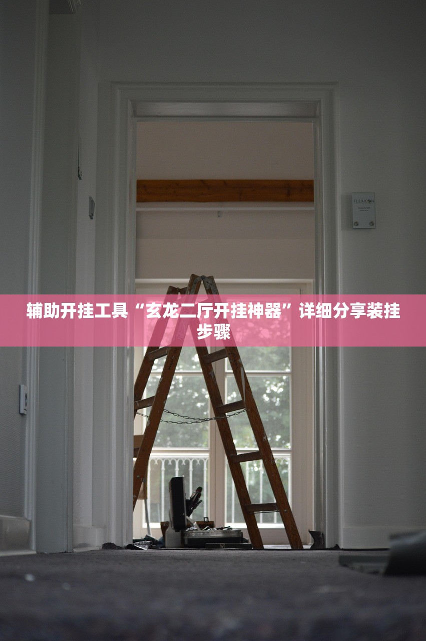 辅助开挂工具“玄龙二厅开挂神器”详细分享装挂步骤