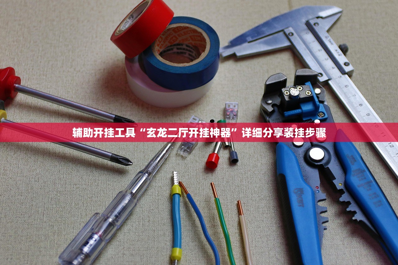 辅助开挂工具“玄龙二厅开挂神器”详细分享装挂步骤