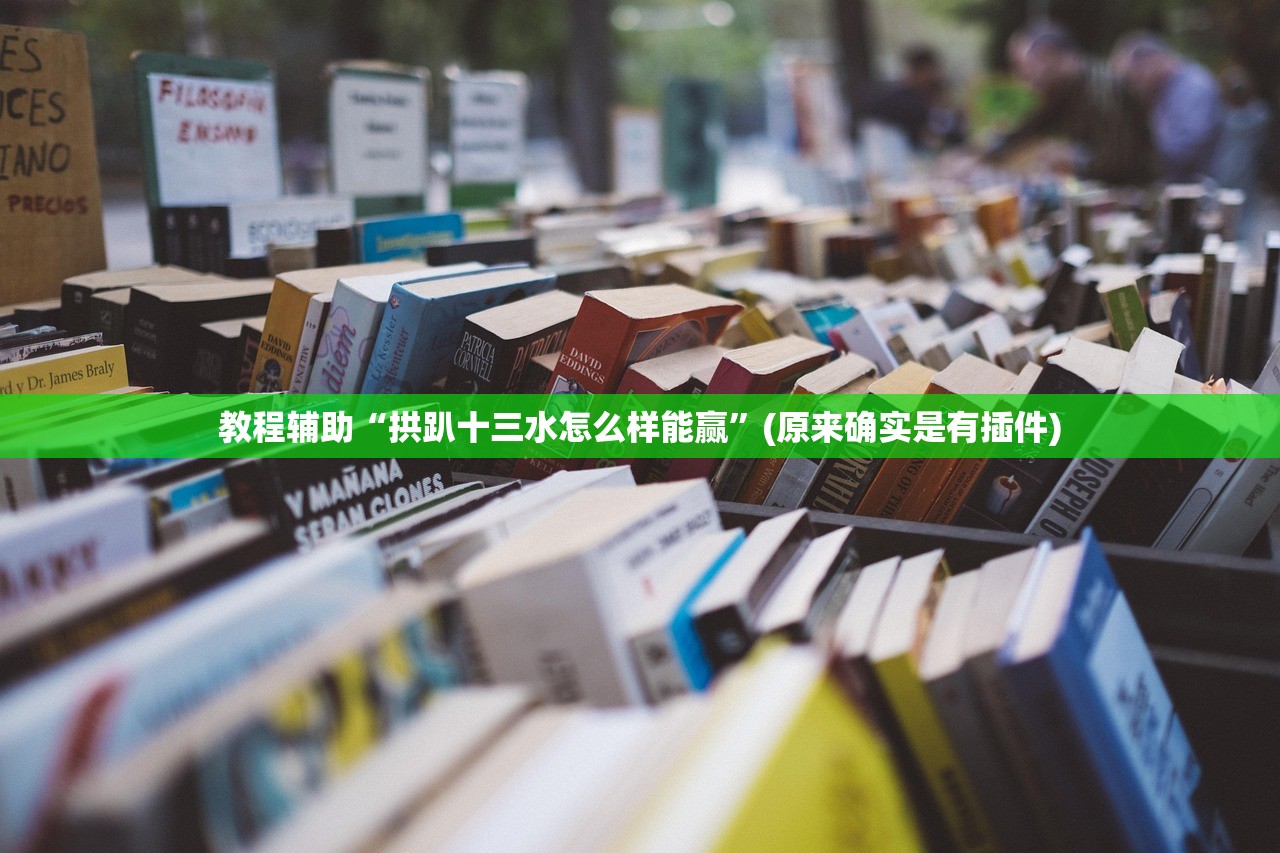 教程辅助“拱趴十三水怎么样能赢”(原来确实是有插件)