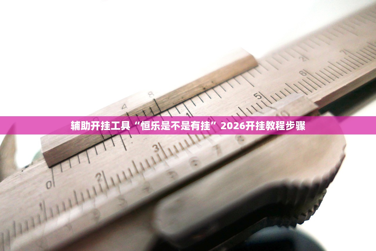辅助开挂工具“恒乐是不是有挂”2026开挂教程步骤
