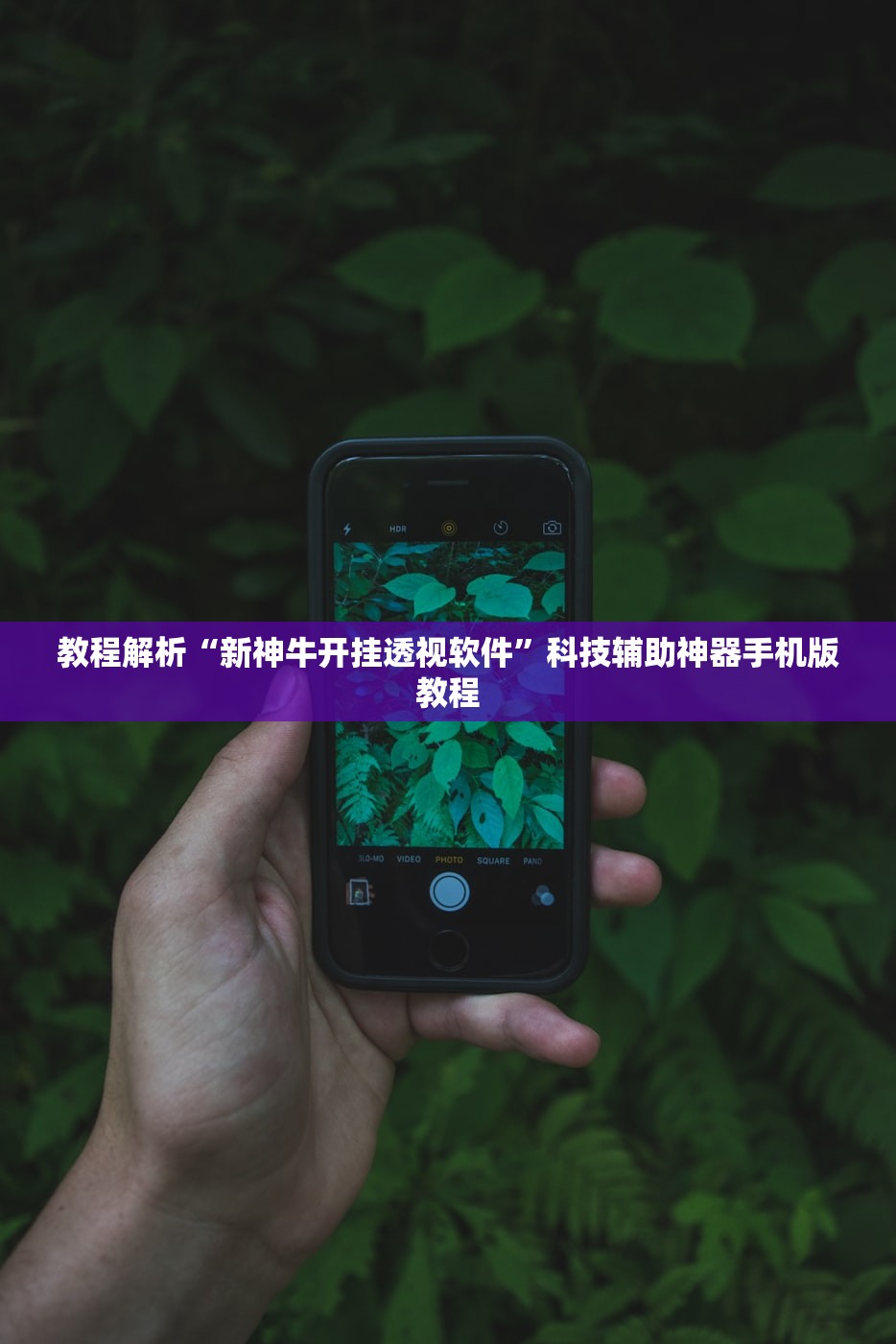 教程解析“新神牛开挂透视软件”科技辅助神器手机版教程