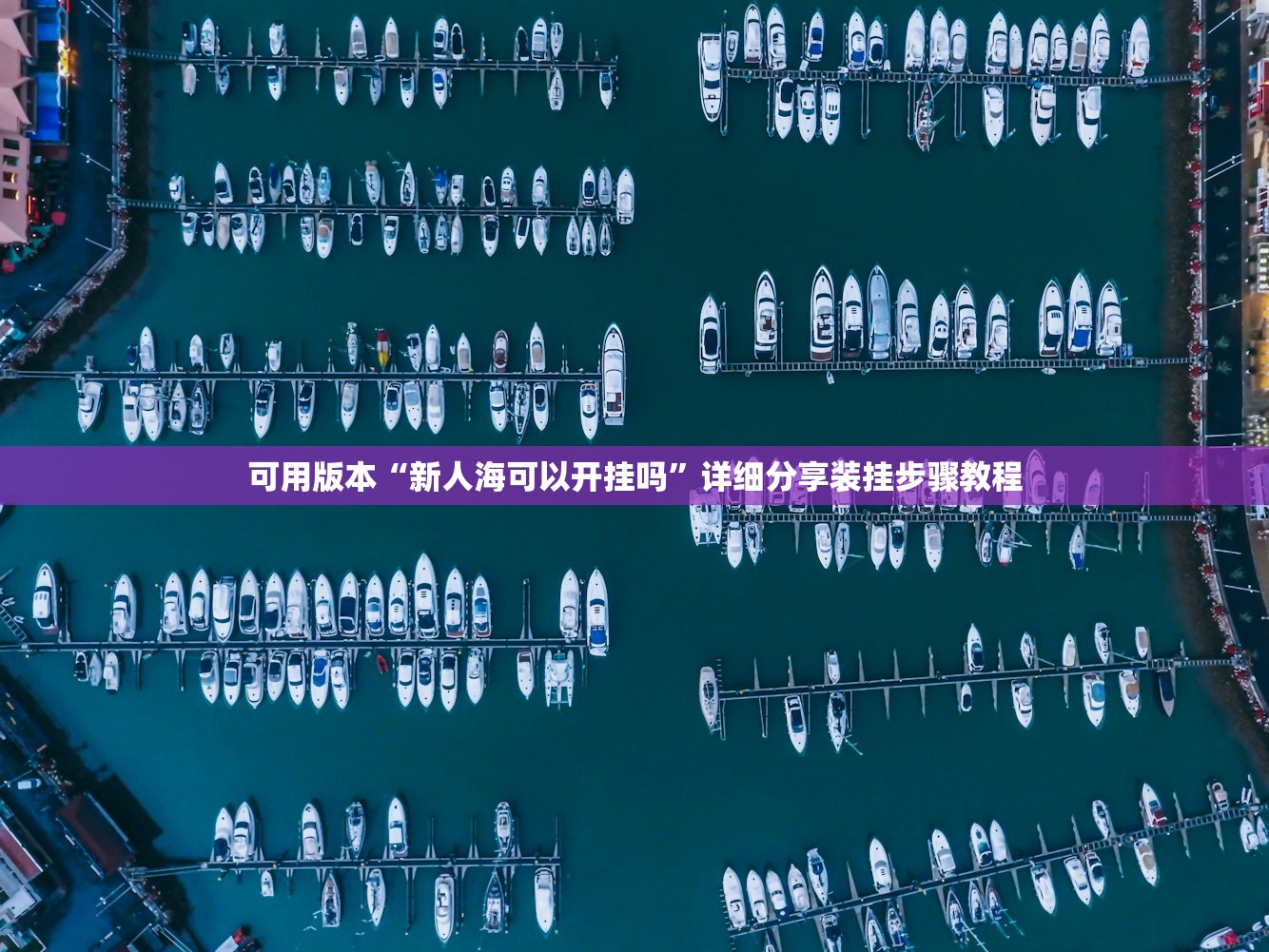 可用版本“新人海可以开挂吗”详细分享装挂步骤教程