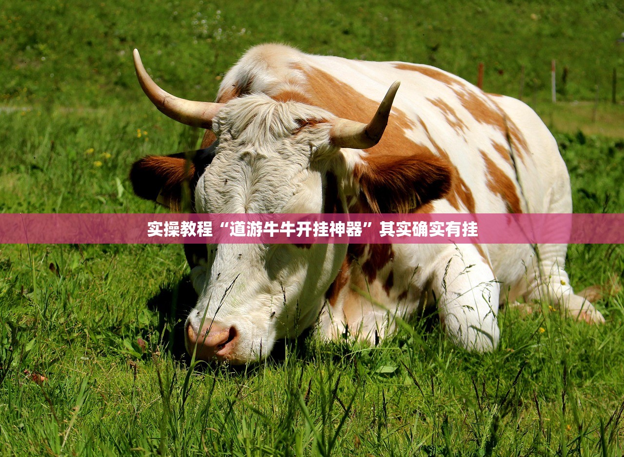 实操教程“道游牛牛开挂神器”其实确实有挂