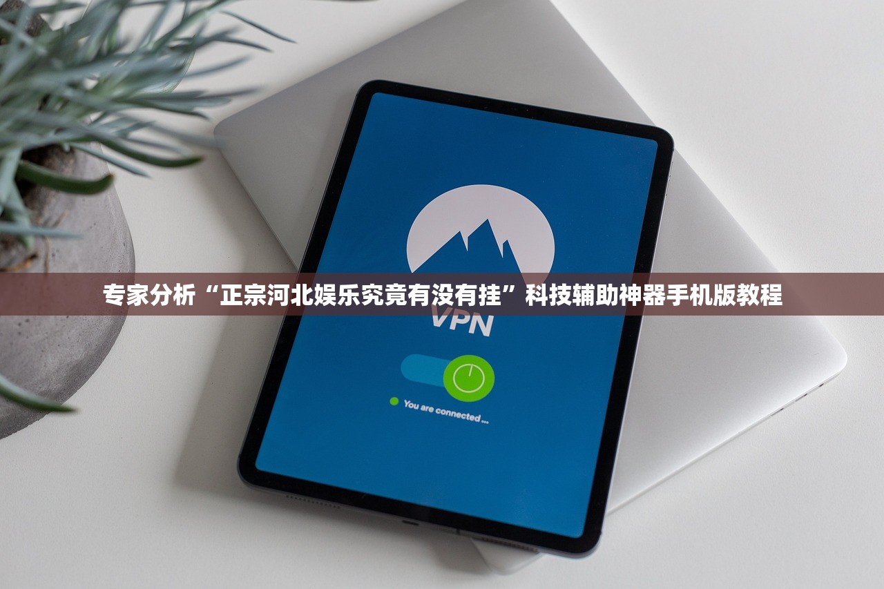 专家分析“正宗河北娱乐究竟有没有挂”科技辅助神器手机版教程