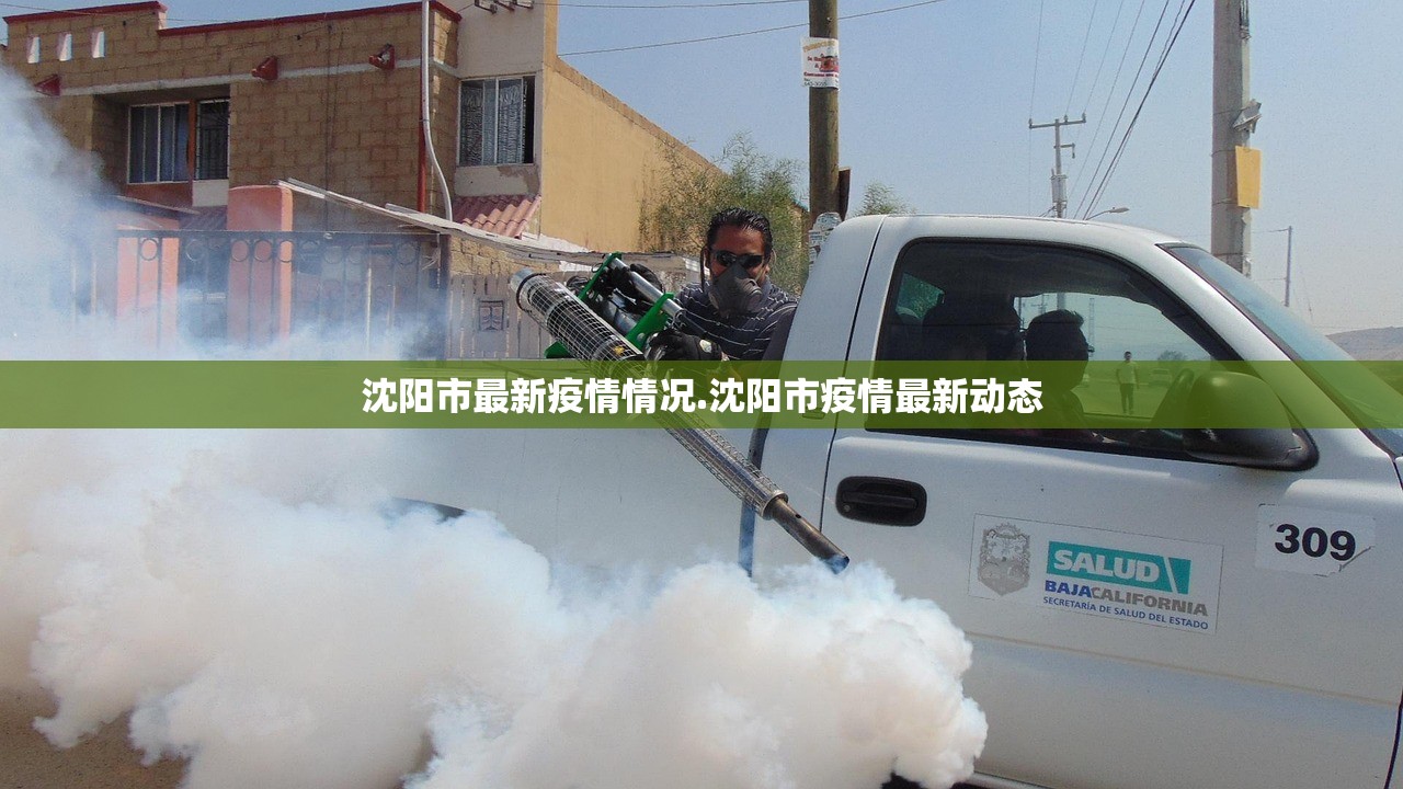 沈阳市最新疫情情况.沈阳市疫情最新动态