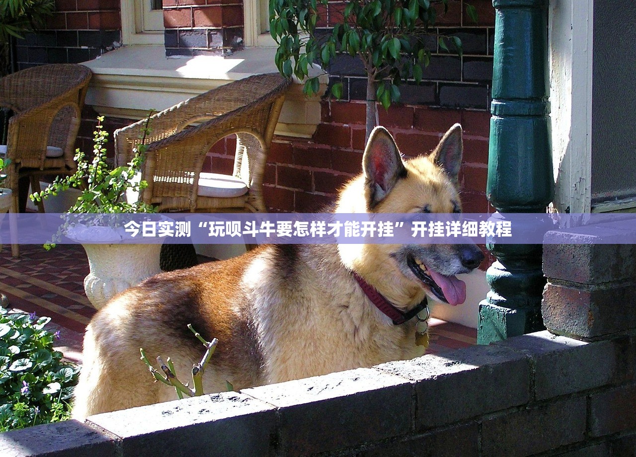 今日实测“玩呗斗牛要怎样才能开挂	”开挂详细教程