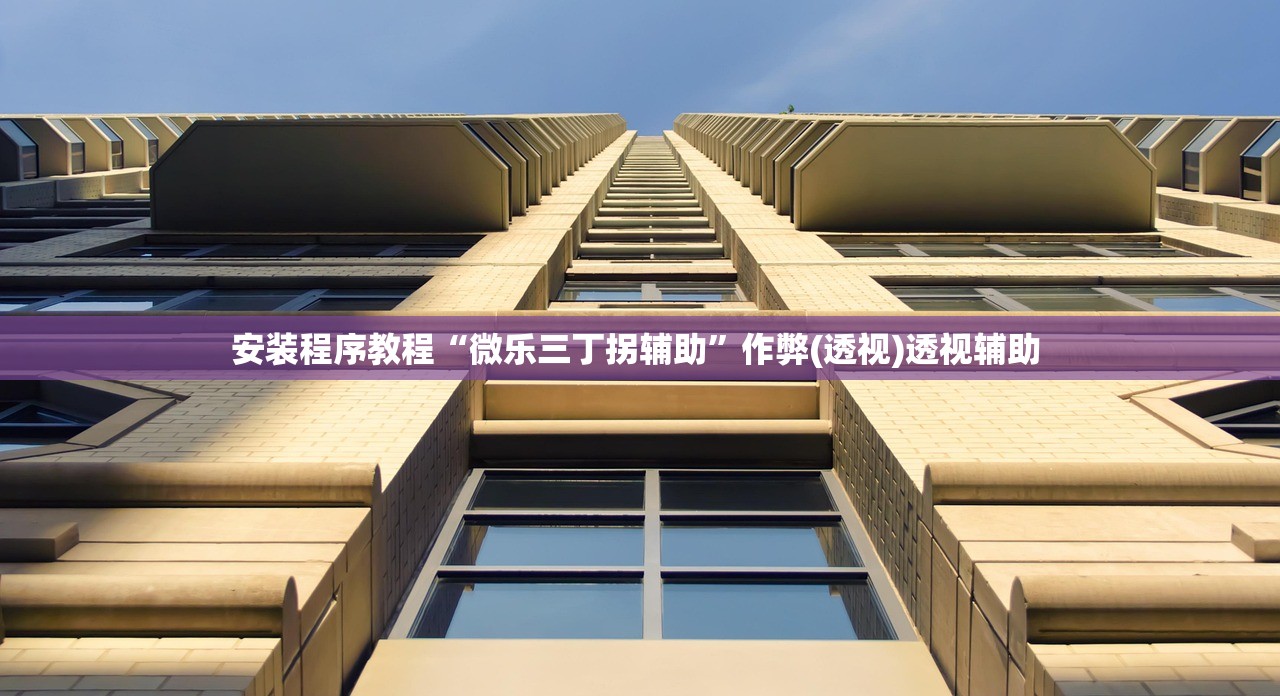 安装程序教程“微乐三丁拐辅助”作弊(透视)透视辅助 