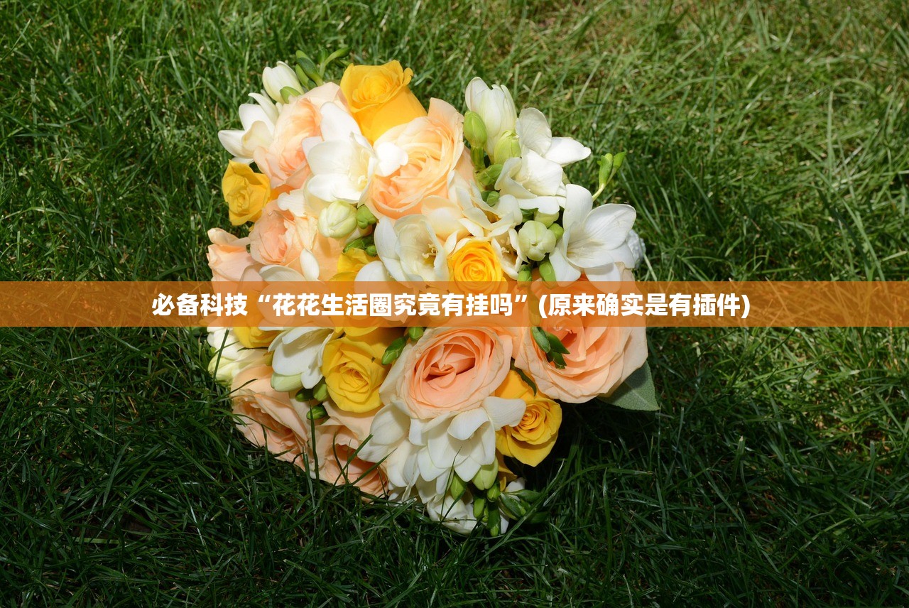 必备科技“花花生活圈究竟有挂吗”(原来确实是有插件) 