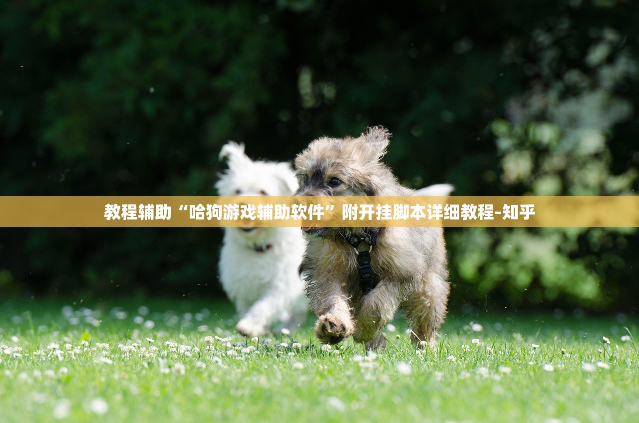 教程辅助“哈狗游戏辅助软件”附开挂脚本详细教程-知乎