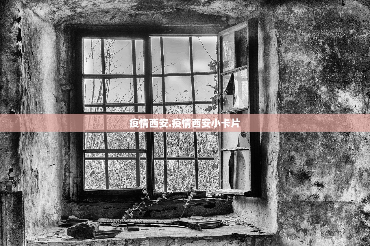 疫情西安.疫情西安小卡片
