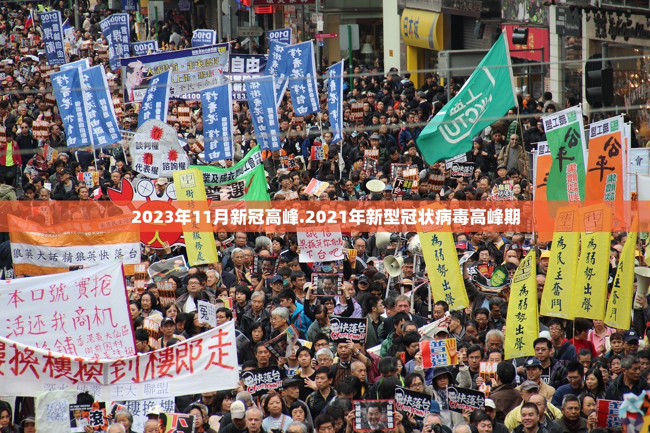 2023年11月新冠高峰.2021年新型冠状病毒高峰期