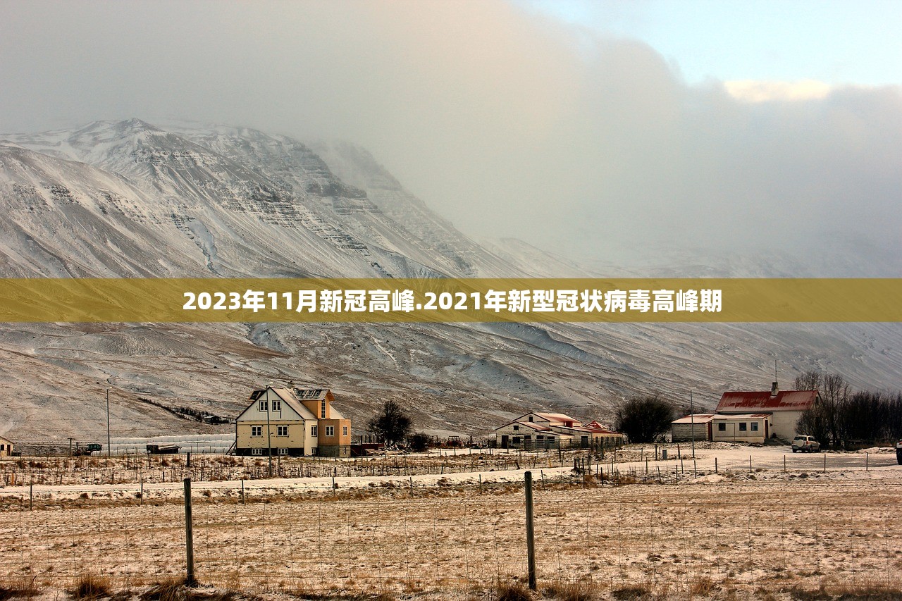 2023年11月新冠高峰.2021年新型冠状病毒高峰期