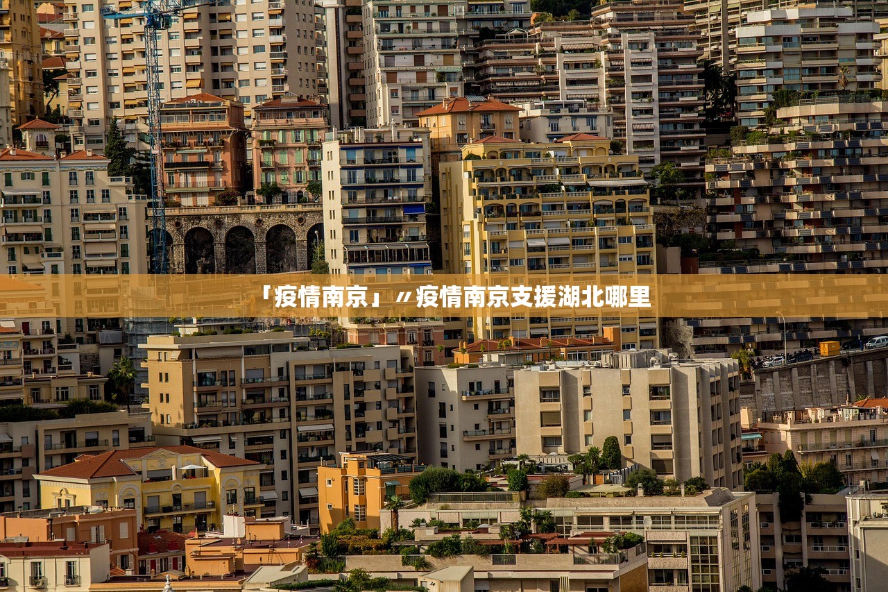 「疫情南京」〃疫情南京支援湖北哪里
