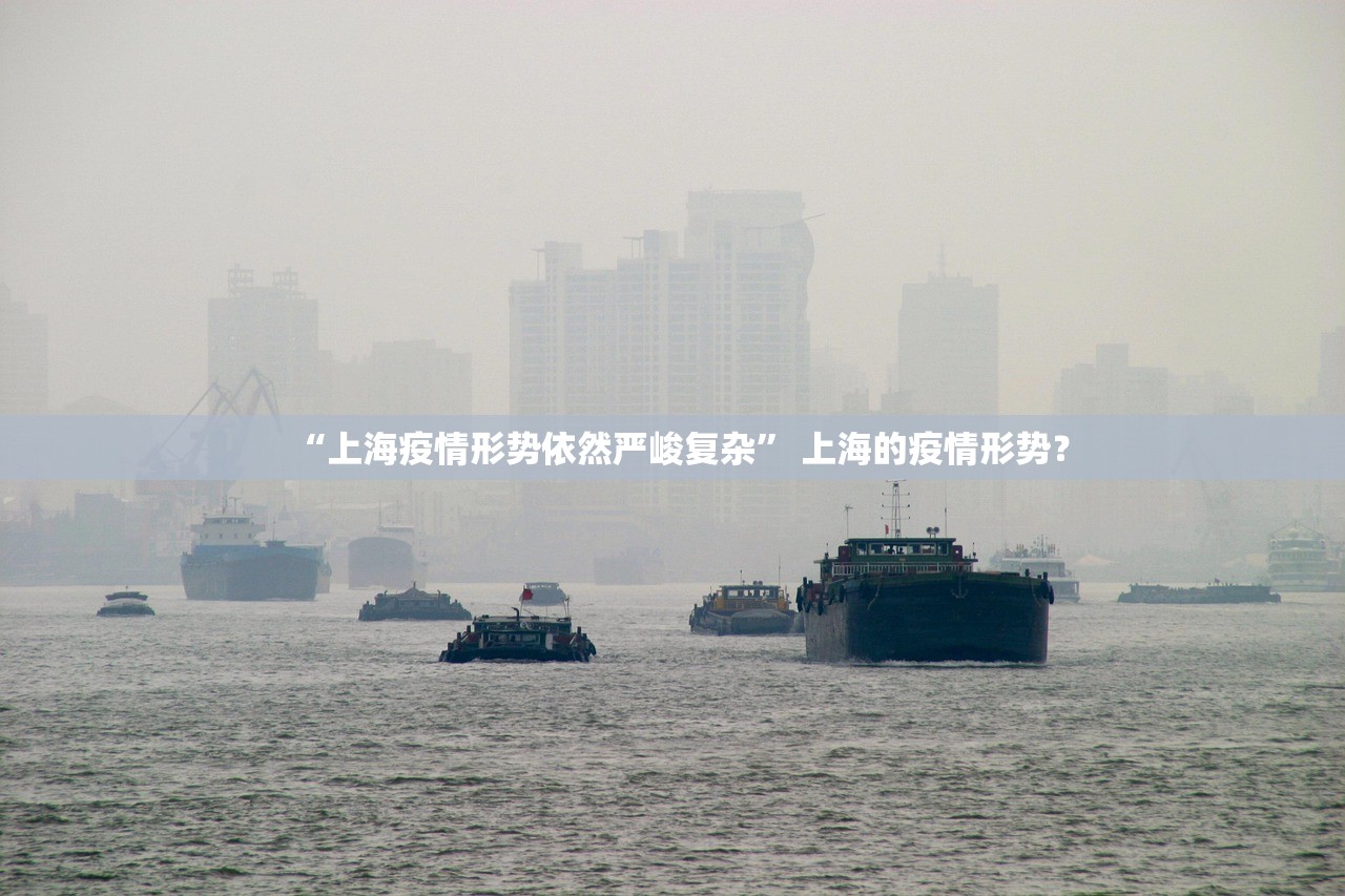 “上海疫情形势依然严峻复杂” 上海的疫情形势？