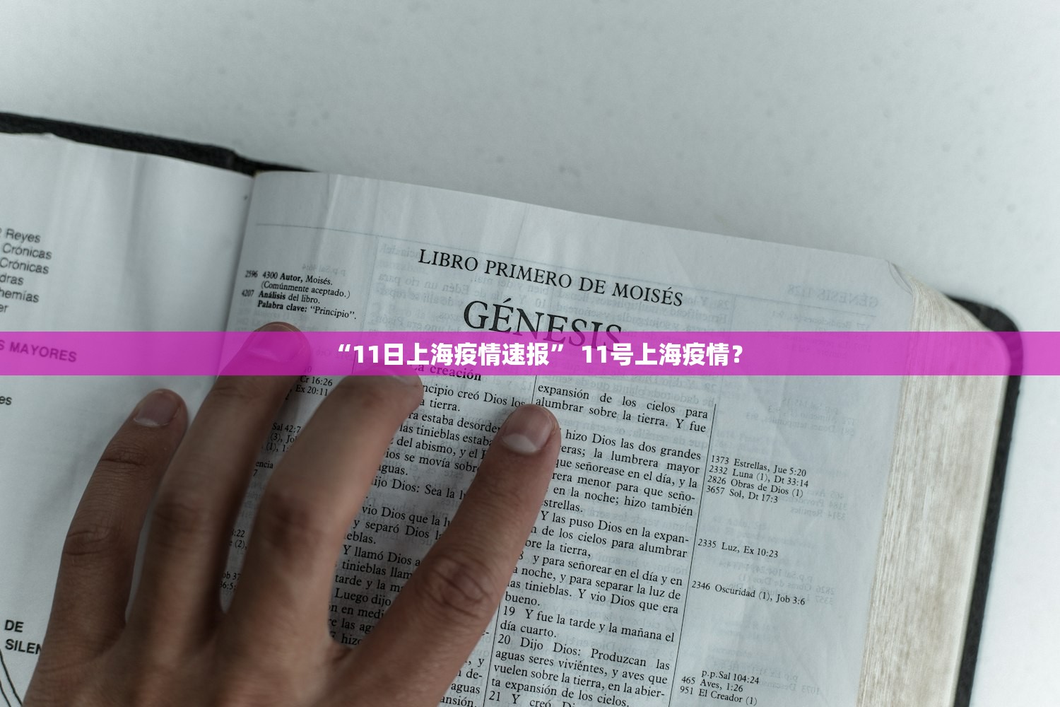 “11日上海疫情速报” 11号上海疫情？