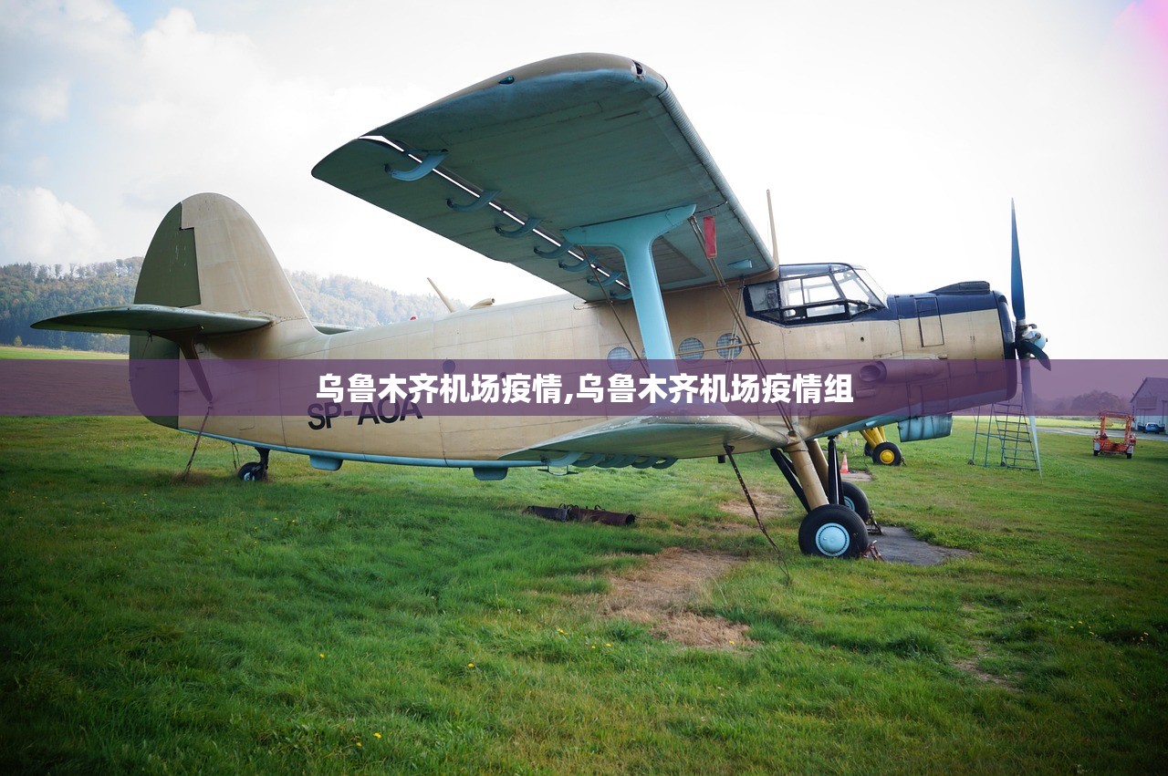 乌鲁木齐机场疫情,乌鲁木齐机场疫情组