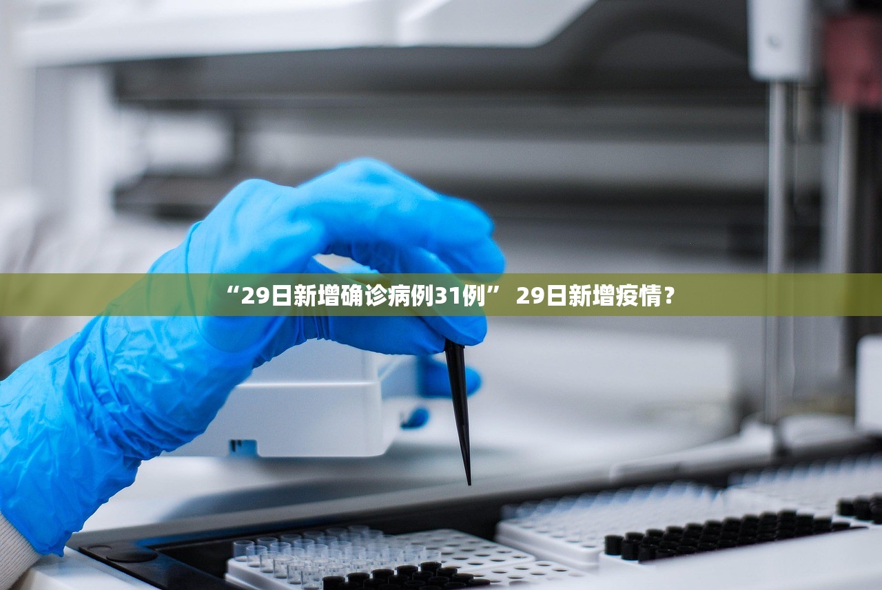 “29日新增确诊病例31例” 29日新增疫情？