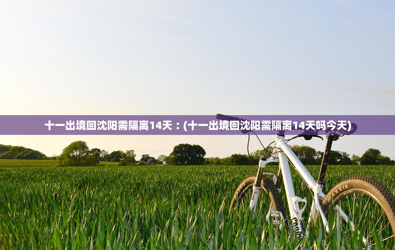十一出境回沈阳需隔离14天︰(十一出境回沈阳需隔离14天吗今天)