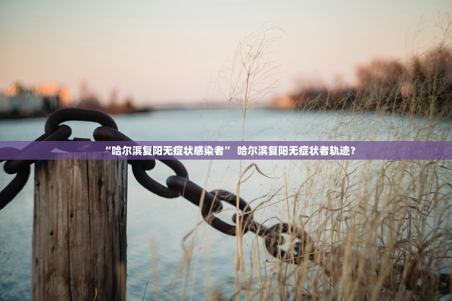 “哈尔滨复阳无症状感染者	” 哈尔滨复阳无症状者轨迹？