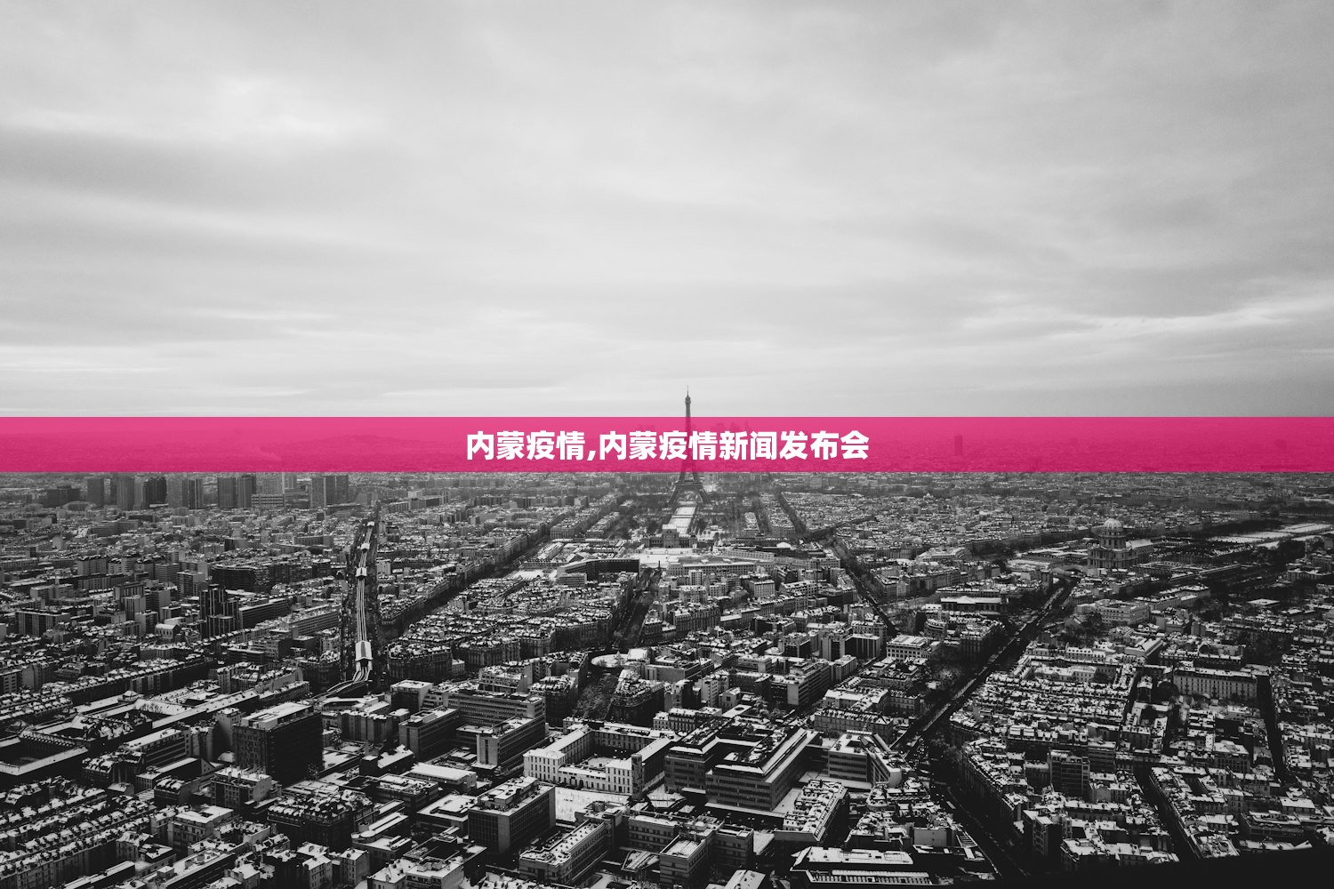 内蒙疫情,内蒙疫情新闻发布会
