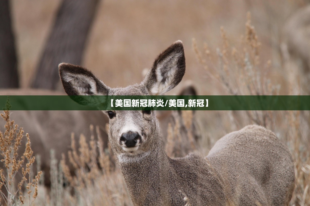 【美国新冠肺炎/美国,新冠】