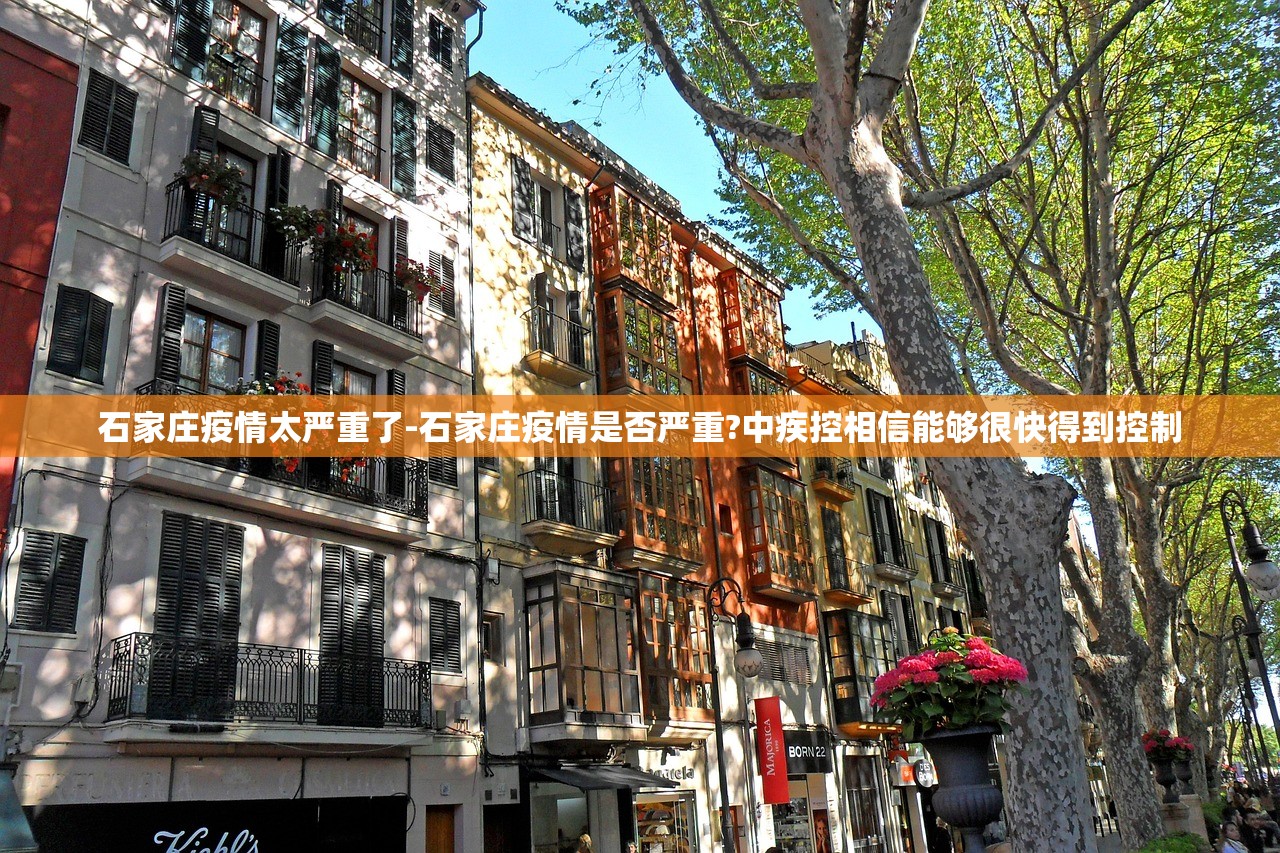 石家庄疫情太严重了-石家庄疫情是否严重?中疾控相信能够很快得到控制