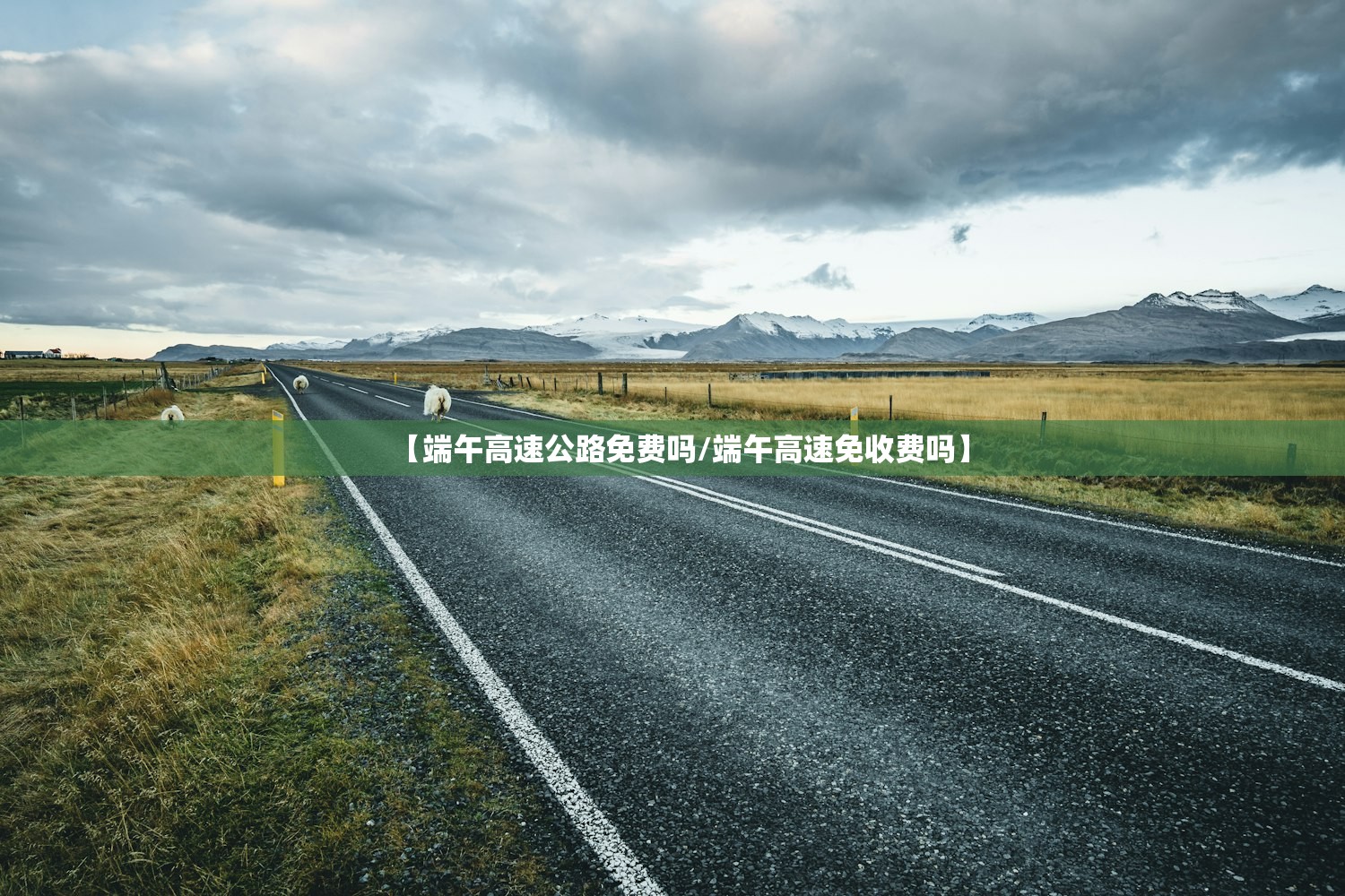 【端午高速公路免费吗/端午高速免收费吗】