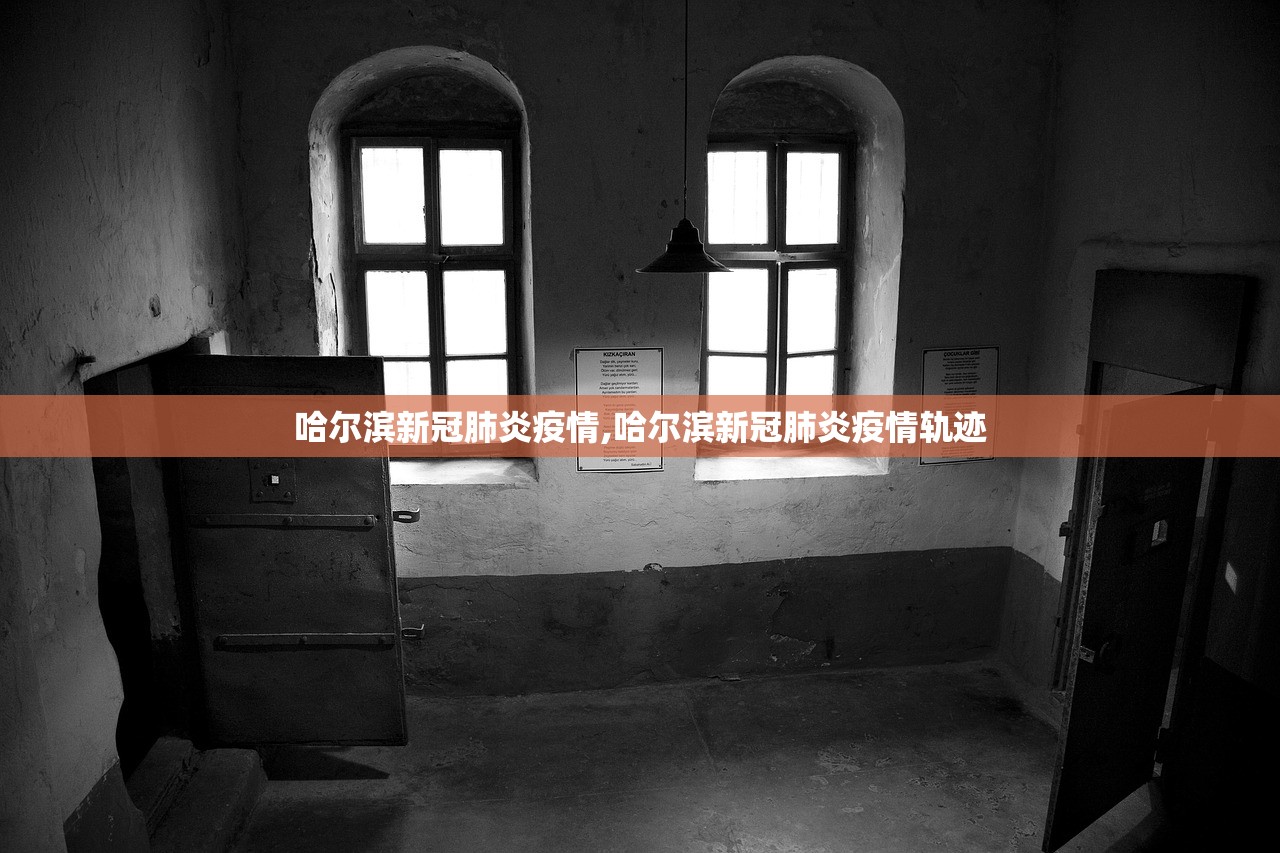 哈尔滨新冠肺炎疫情,哈尔滨新冠肺炎疫情轨迹 哈尔滨新冠肺炎疫情,哈尔滨新冠肺炎疫情轨迹