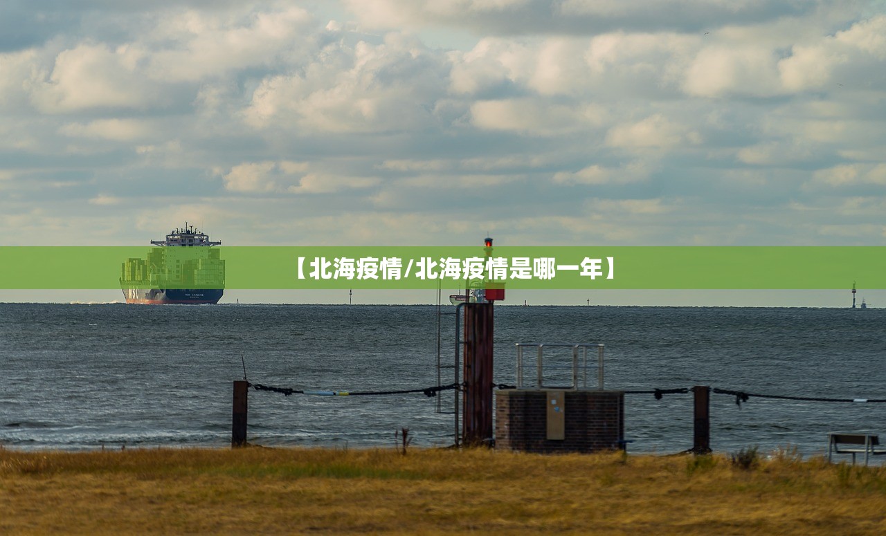 【北海疫情/北海疫情是哪一年】