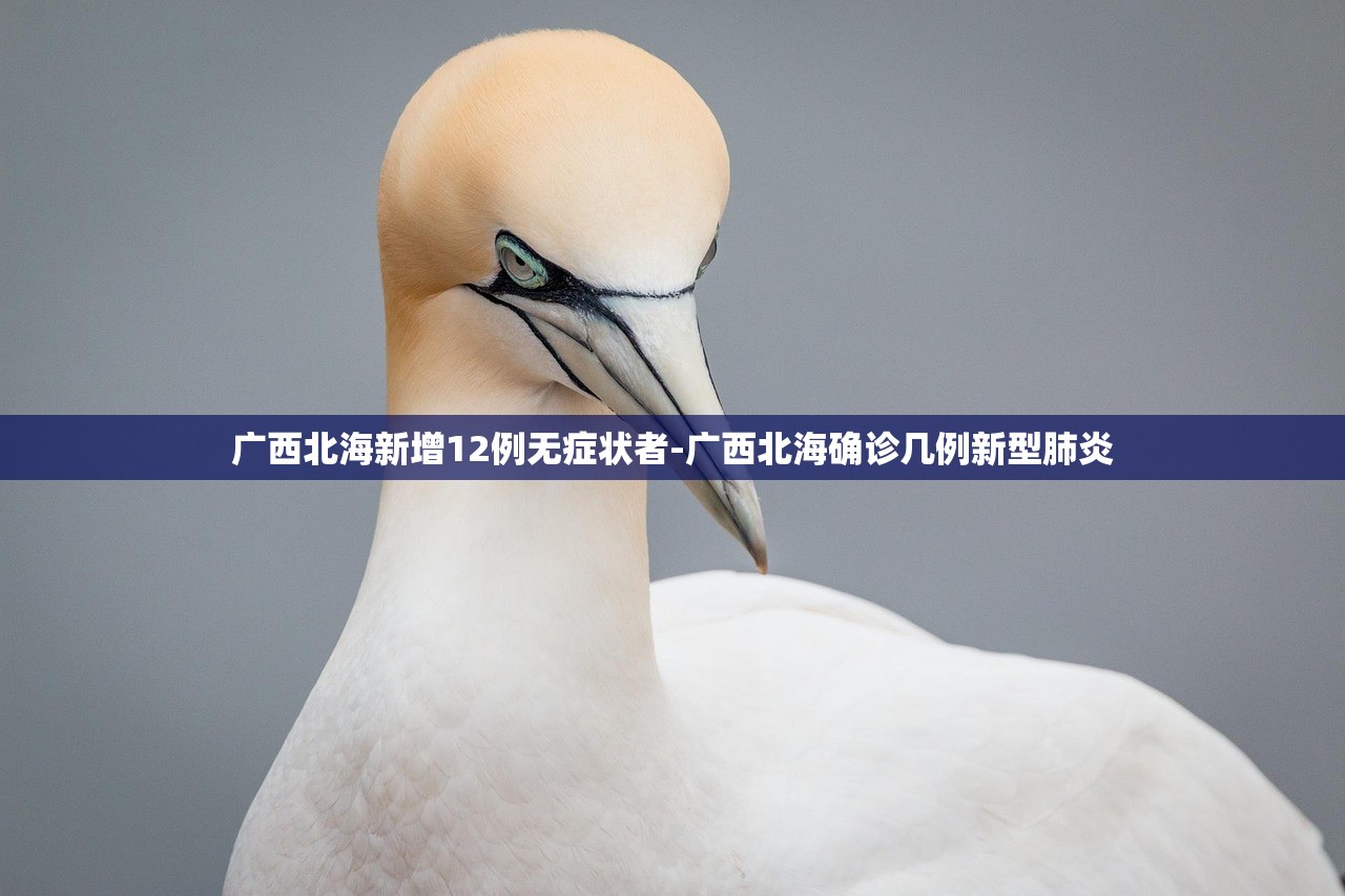 广西北海新增12例无症状者-广西北海确诊几例新型肺炎 广西北海新增12例无症状者-广西北海确诊几例新型肺炎