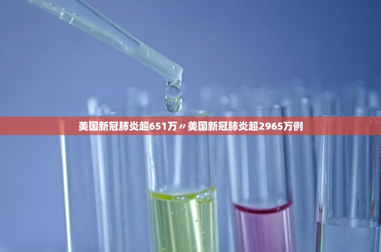 美国新冠肺炎超651万〃美国新冠肺炎超2965万例 美国新冠肺炎超651万〃美国新冠肺炎超2965万例