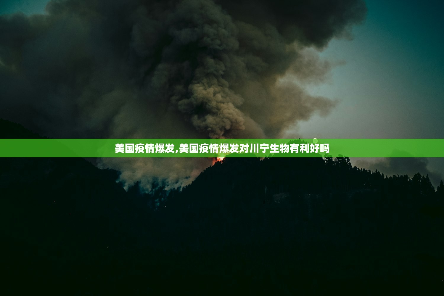 美国疫情爆发,美国疫情爆发对川宁生物有利好吗