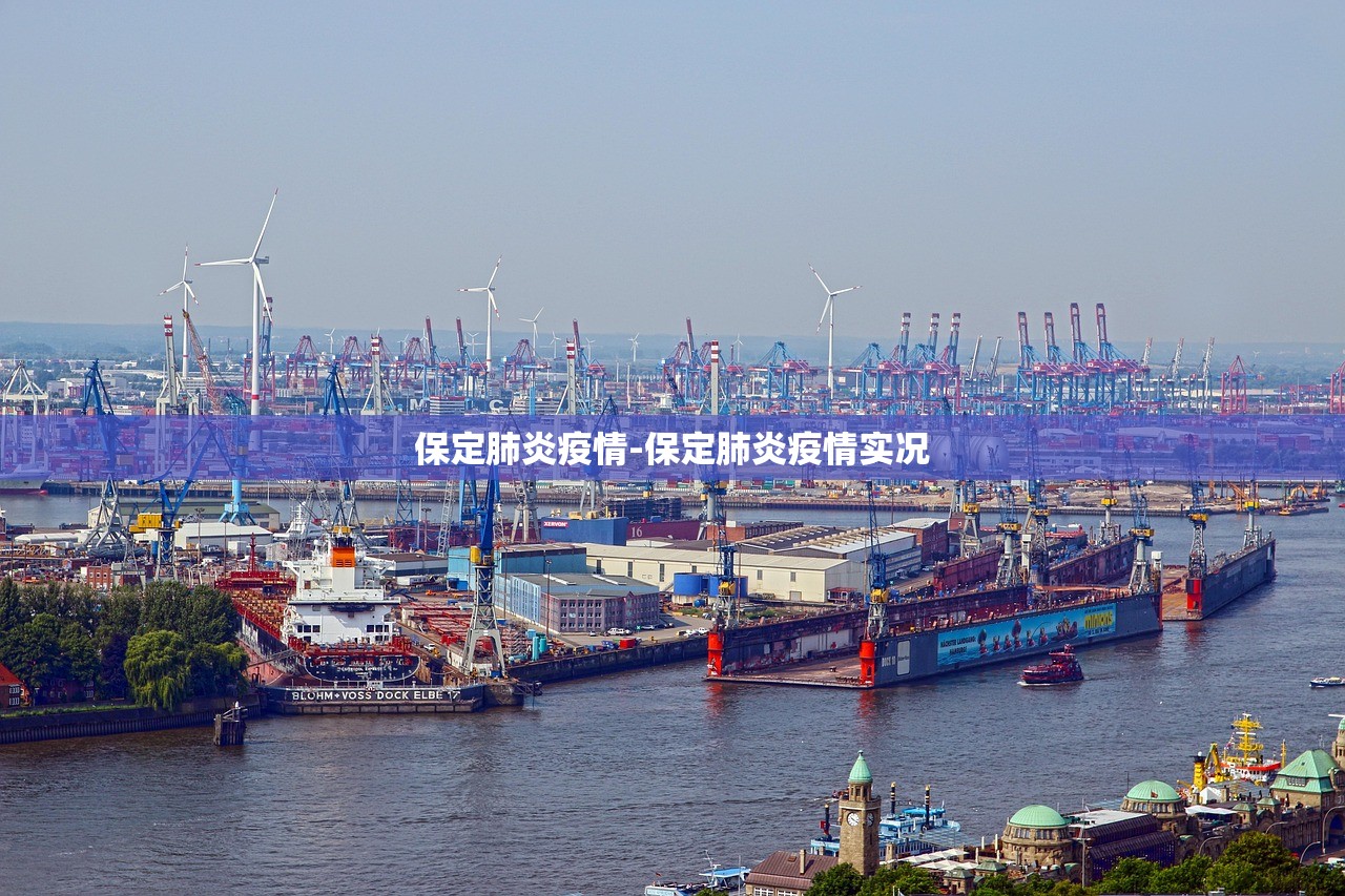 保定肺炎疫情-保定肺炎疫情实况