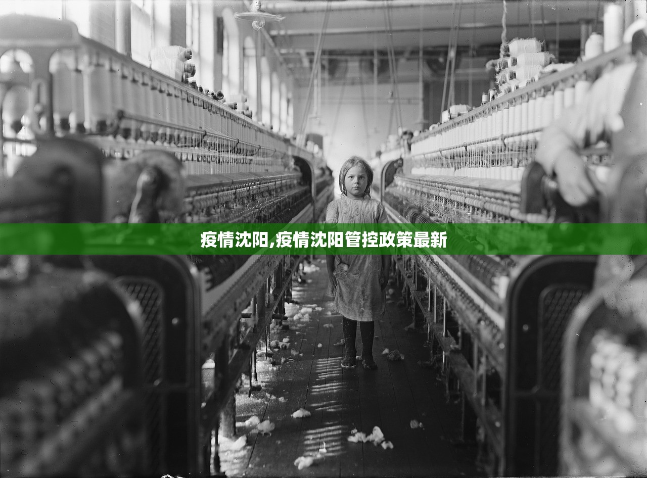 疫情沈阳,疫情沈阳管控政策最新