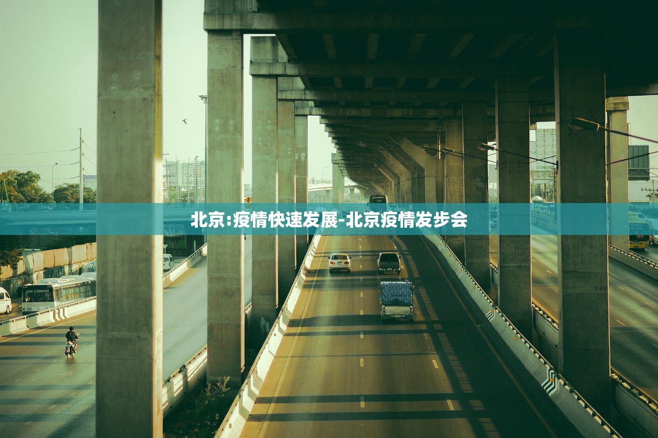 北京:疫情快速发展-北京疫情发步会