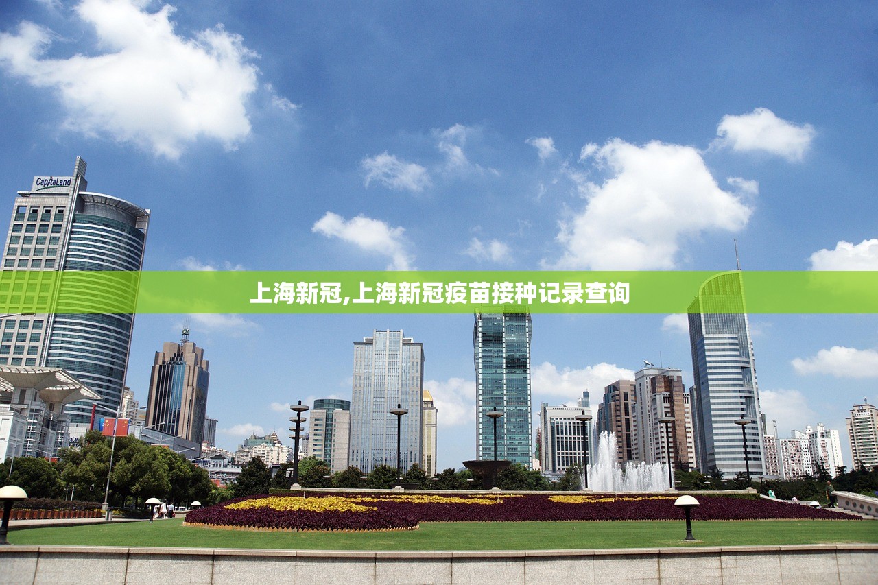 上海新冠,上海新冠疫苗接种记录查询 上海新冠,上海新冠疫苗接种记录查询