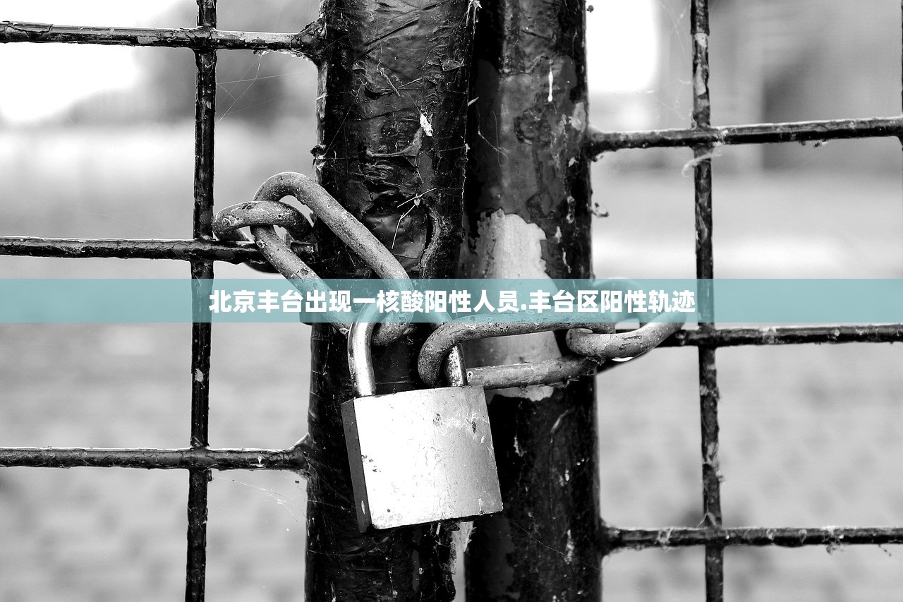 北京丰台出现一核酸阳性人员.丰台区阳性轨迹