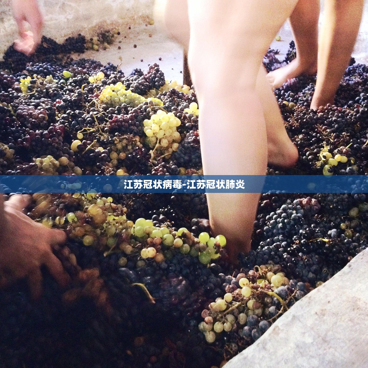 江苏冠状病毒-江苏冠状肺炎