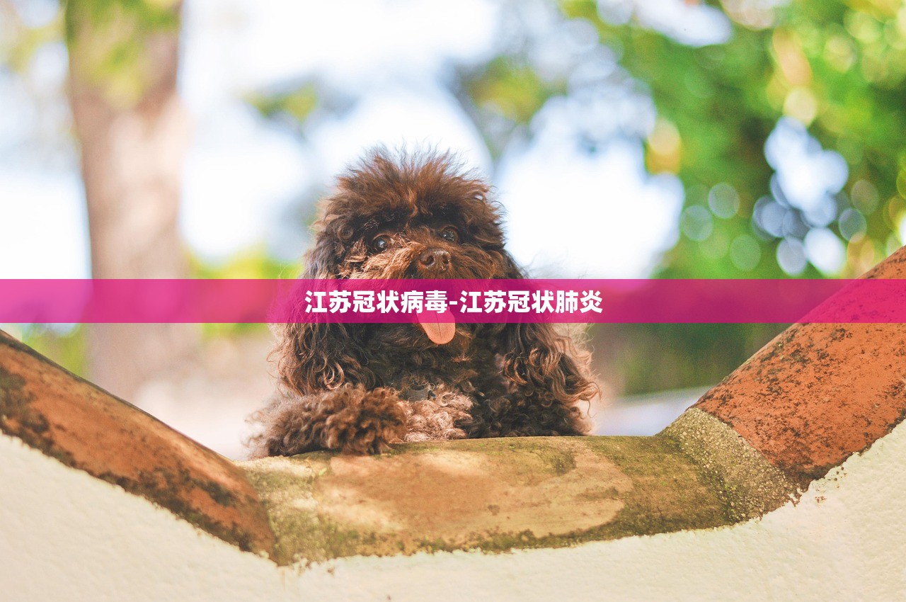江苏冠状病毒-江苏冠状肺炎