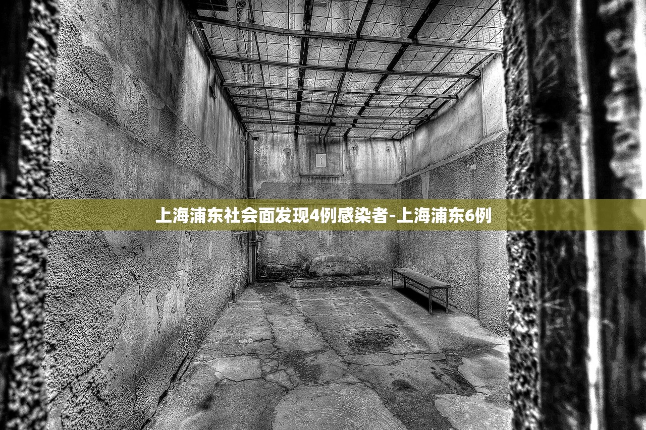 上海浦东社会面发现4例感染者-上海浦东6例