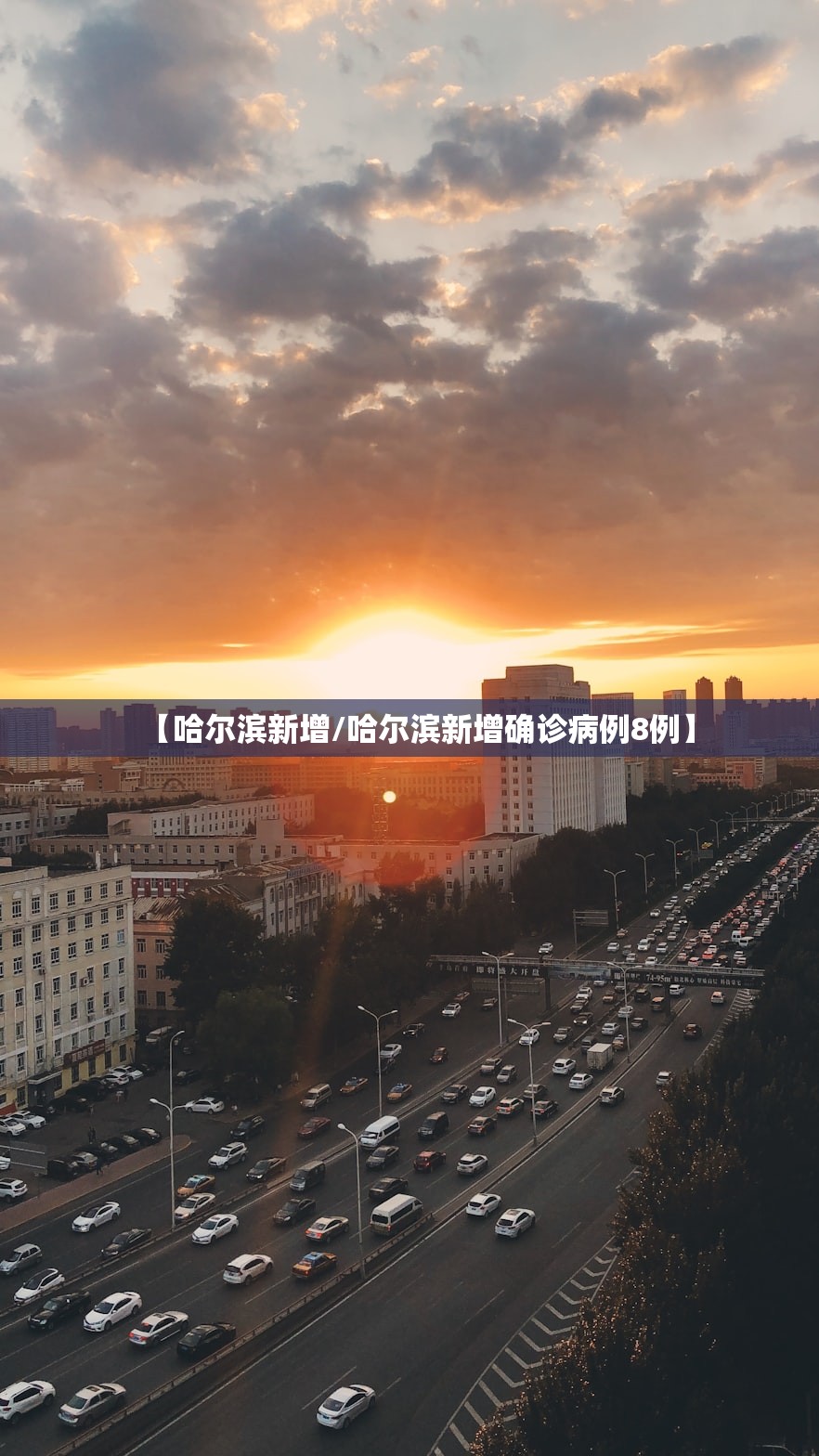 【哈尔滨新增/哈尔滨新增确诊病例8例】 【哈尔滨新增/哈尔滨新增确诊病例8例】