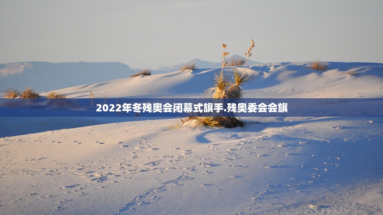 2022年冬残奥会闭幕式旗手.残奥委会会旗